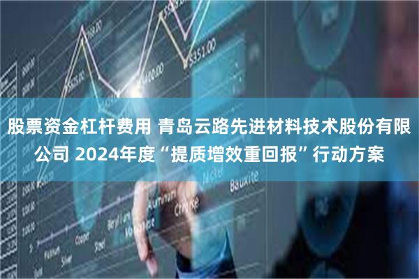 股票资金杠杆费用 青岛云路先进材料技术股份有限公司 2024年度“提质增效重回报”行动方案