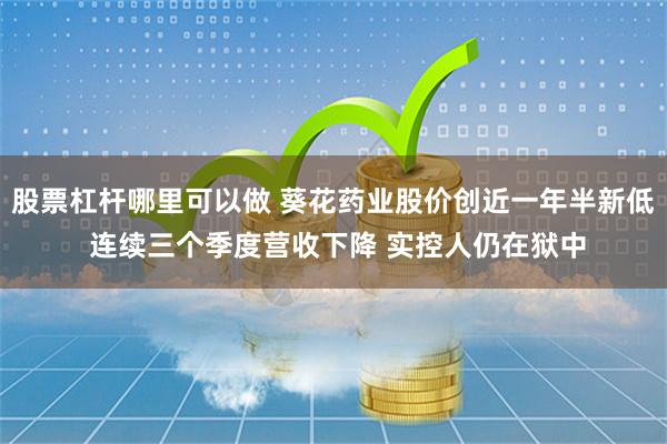 股票杠杆哪里可以做 葵花药业股价创近一年半新低 连续三个季度营收下降 实控人仍在狱中