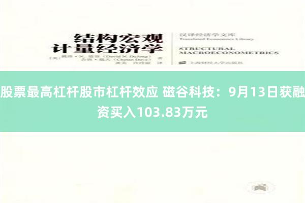 股票最高杠杆股市杠杆效应 磁谷科技：9月13日获融资买入103.83万元