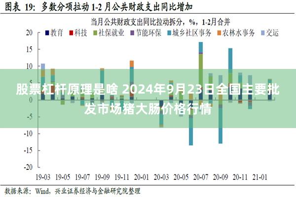 股票杠杆原理是啥 2024年9月23日全国主要批发市场猪大肠价格行情