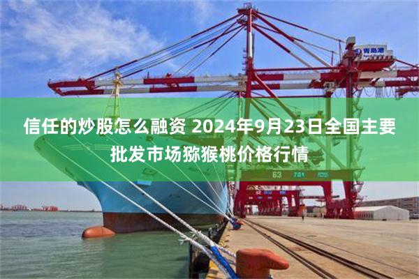 信任的炒股怎么融资 2024年9月23日全国主要批发市场猕猴桃价格行情