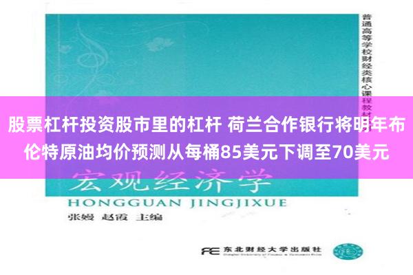 股票杠杆投资股市里的杠杆 荷兰合作银行将明年布伦特原油均价预测从每桶85美元下调至70美元