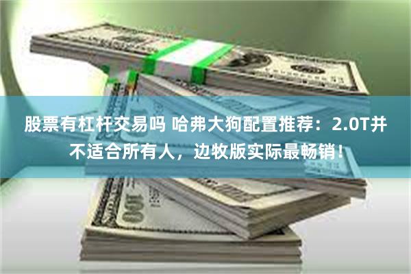 股票有杠杆交易吗 哈弗大狗配置推荐：2.0T并不适合所有人，边牧版实际最畅销！