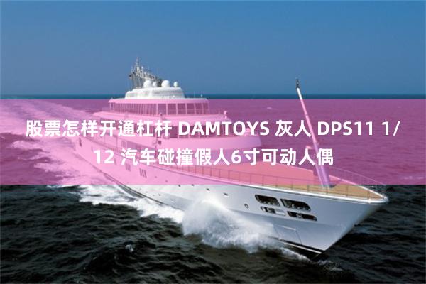 股票怎样开通杠杆 DAMTOYS 灰人 DPS11 1/12 汽车碰撞假人6寸可动人偶