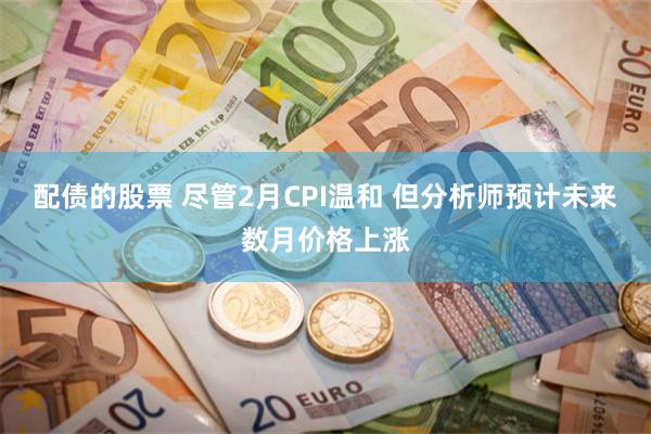 配债的股票 尽管2月CPI温和 但分析师预计未来数月价格上涨