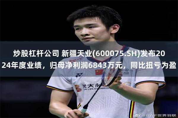 炒股杠杆公司 新疆天业(600075.SH)发布2024年度业绩，归母净利润6843万元，同比扭亏为盈