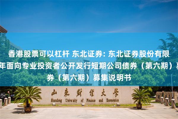 香港股票可以杠杆 东北证券: 东北证券股份有限公司2025年面向专业投资者公开发行短期公司债券（第六期）募集说明书