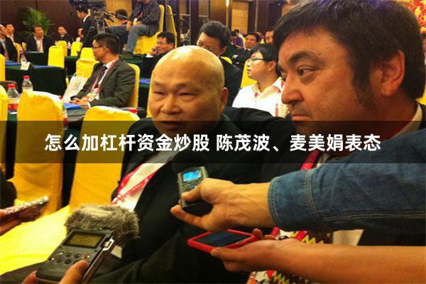 怎么加杠杆资金炒股 陈茂波、麦美娟表态